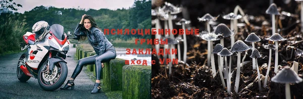 мет Богданович