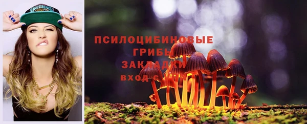 гидропоника Богородск