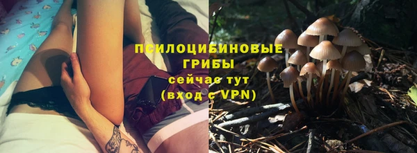 COCAINE Богородицк
