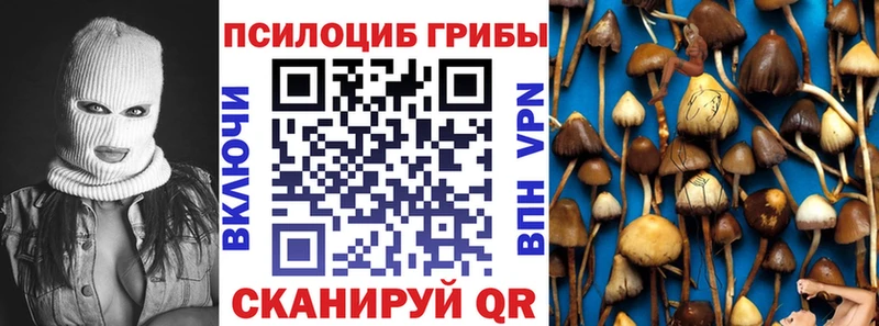 ОМГ ОМГ ССЫЛКА  Кстово  Псилоцибиновые грибы мицелий 